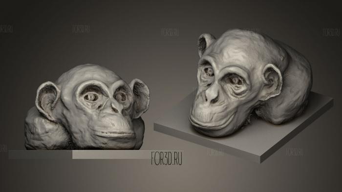 Голова обезьяны 3d stl модель для ЧПУ